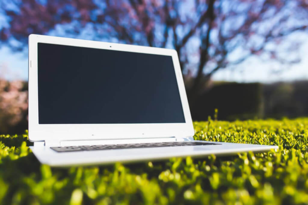 laptop on artificial grass